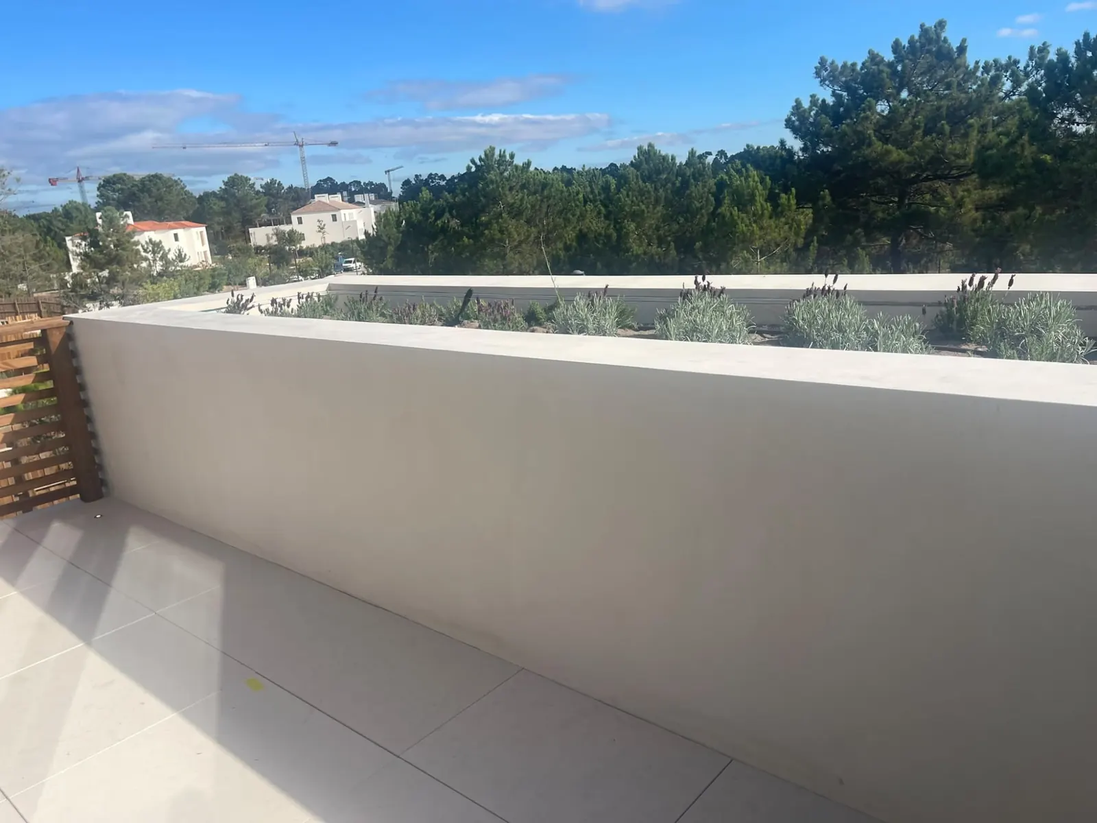 Terraço com muro revestido e vista para o pinhal